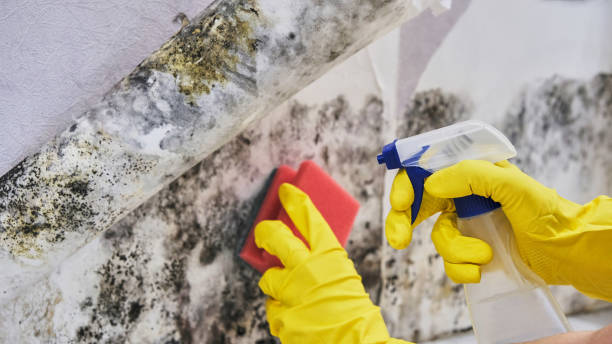 Local water damage restoration in Lyndon, KY